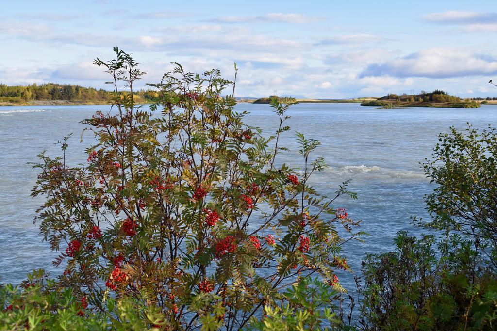 Arctic Nature Hotel Селфос Екстериор снимка