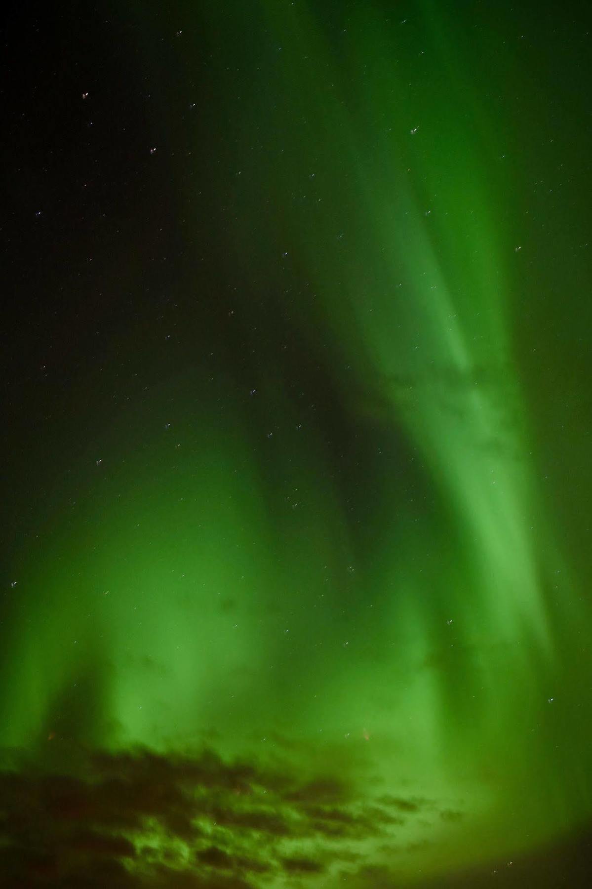 Arctic Nature Hotel Селфос Екстериор снимка